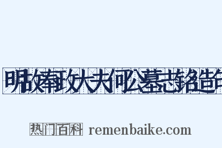 明故奉政大夫何公墓志铭造句是什么意思的图片